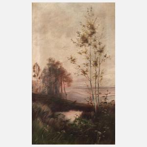 Abenddämmerung am Teich