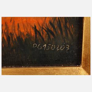 Windmühle im Abendlicht