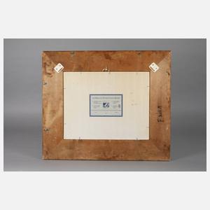 Stillleben mit Mandoline