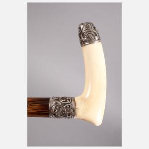 Spazierstock Elfenbein