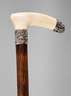 Spazierstock Elfenbein