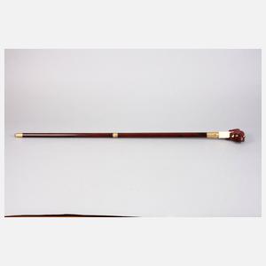 Außergewöhnlicher Spazierstock