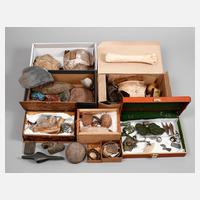 Kleine urgeschichtliche Sammlung111