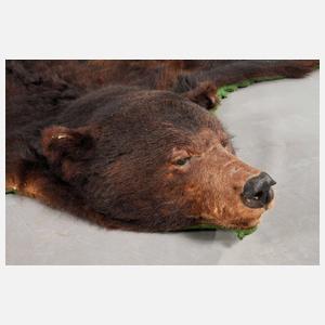 Fell eines Braunbären