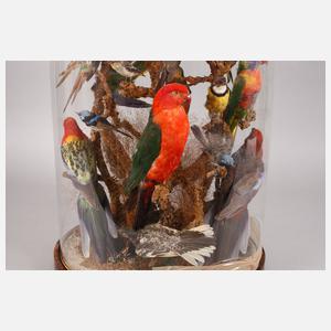 Vogelpräparate unter Glassturz