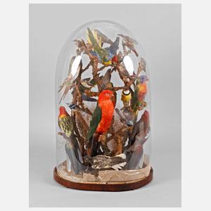 Vogelpräparate unter Glassturz