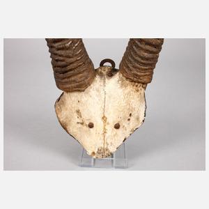 Große Jagdtrophäe