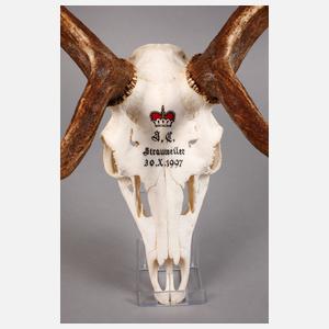 Große Jagdtrophäe