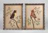 Zwei Vogelbilder
