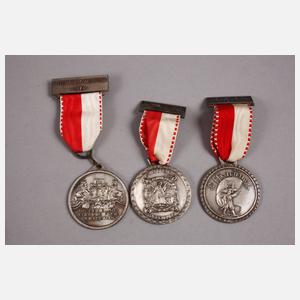 Konvolut Plaketten Flugsport