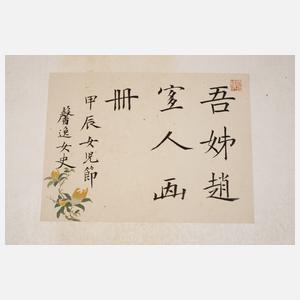 Album mit Tuschzeichnungen