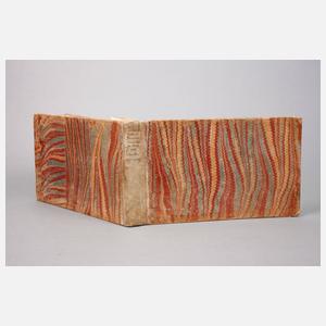 Bodenehrs Atlas Curieux 1. Viertel 18. Jh.