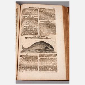 Valentinis Museum Museorum 1704