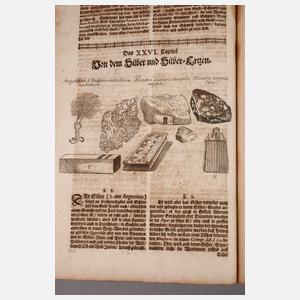 Valentinis Museum Museorum 1704