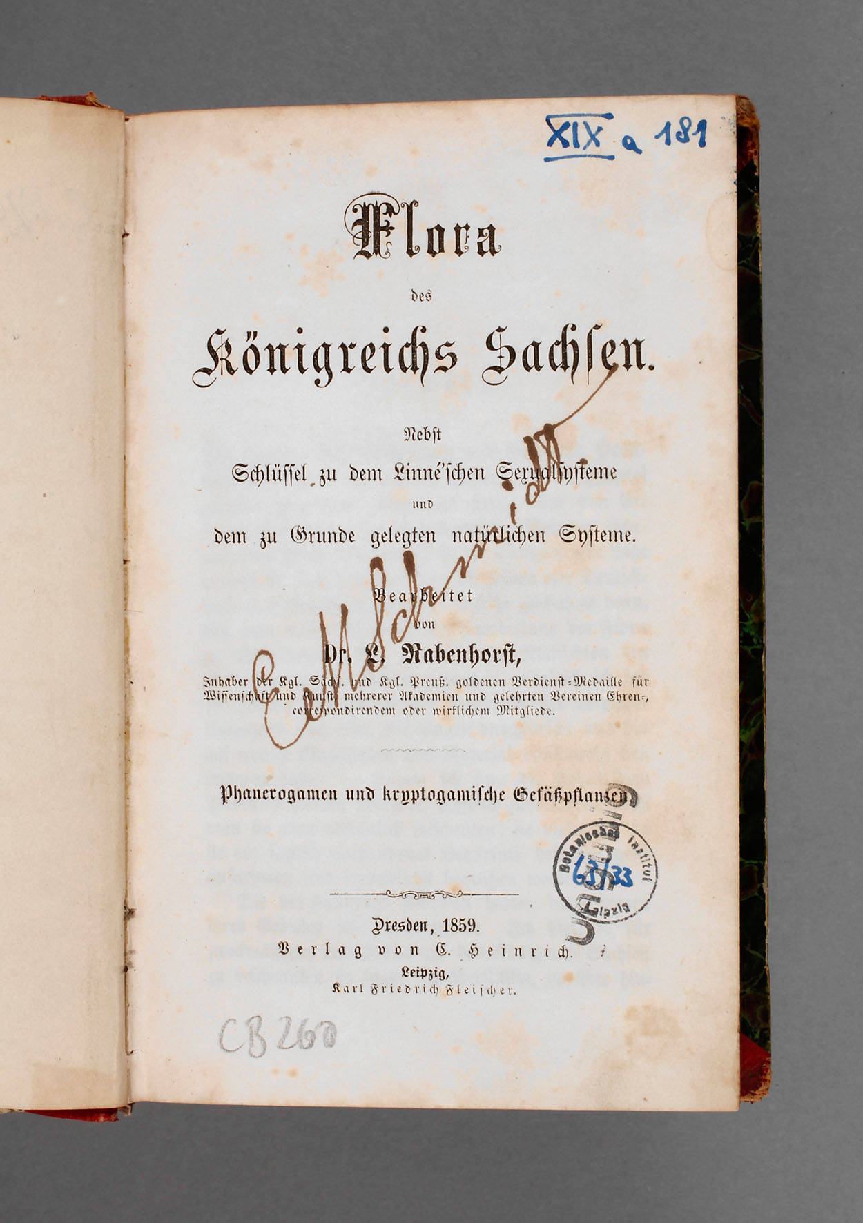 Flora des Königreichs Sachsen