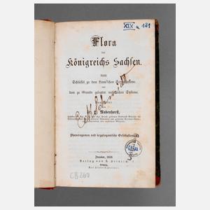 Flora des Königreichs Sachsen
