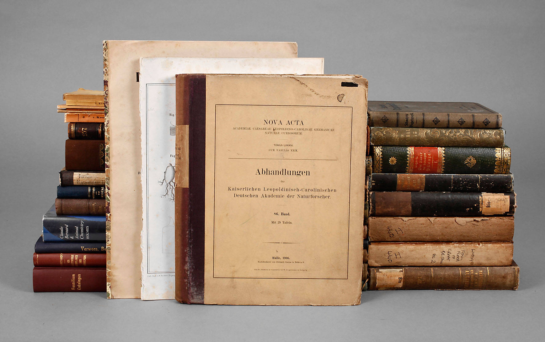 Kleine botanisch-zoologische Bibliothek 19. Jh.