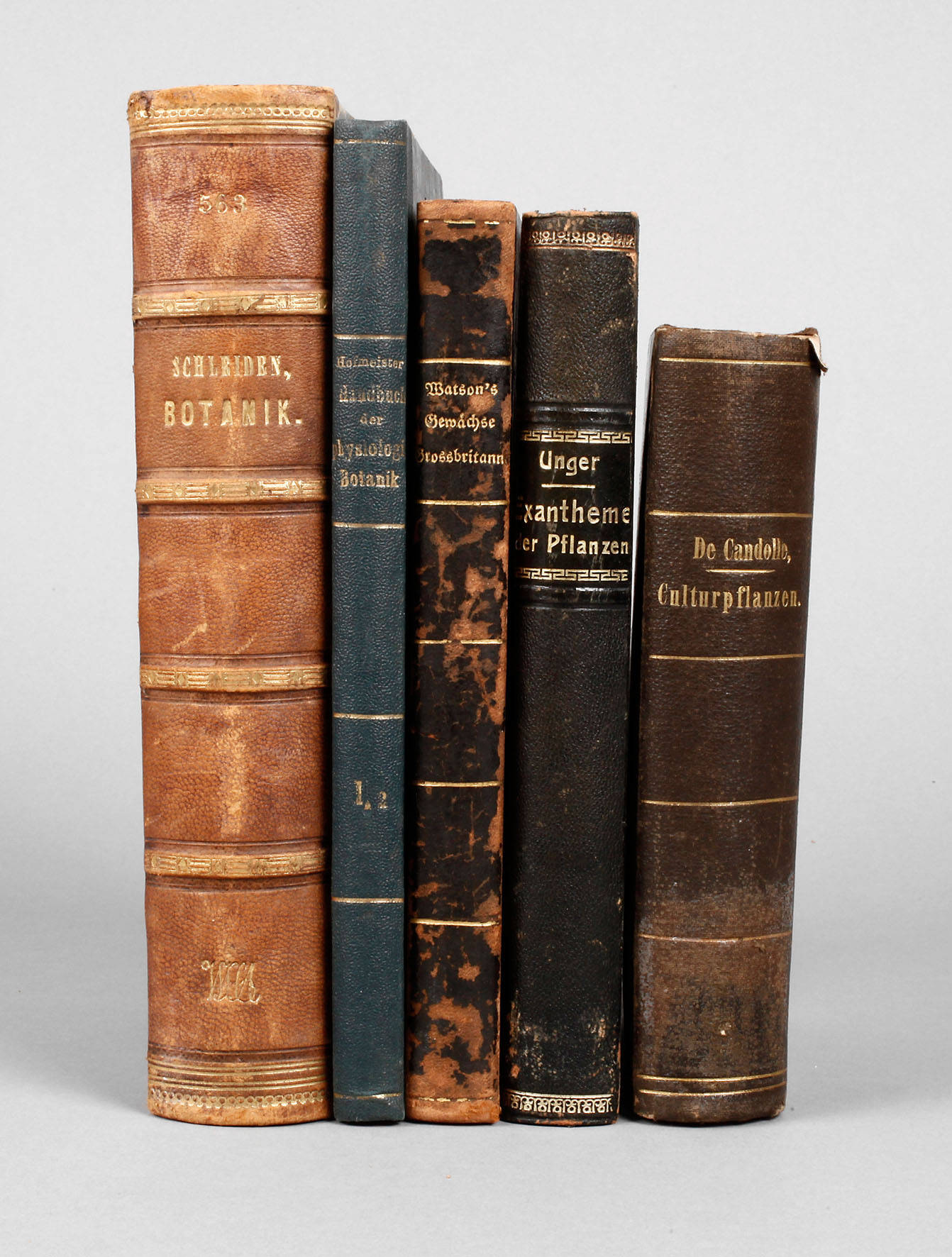 Kleine botanische Bibliothek 19. Jahrhundert