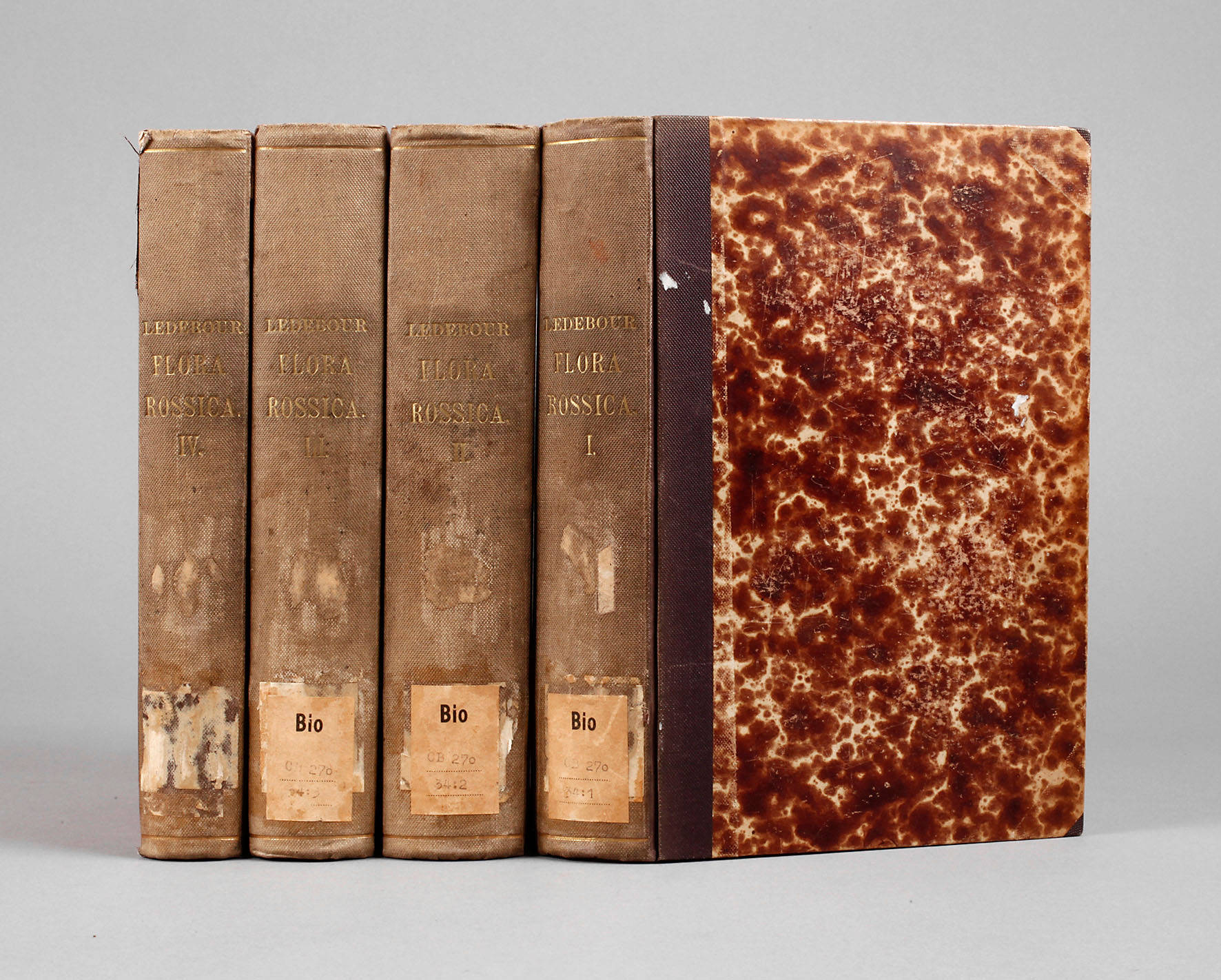 Ledebours Russische Flora