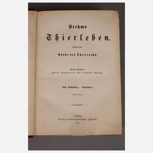 Brehms Tierleben