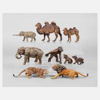 Lineol Konvolut Zootiere111