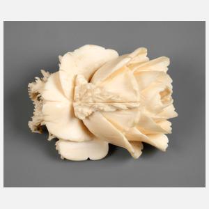 Beinbrosche als Rose