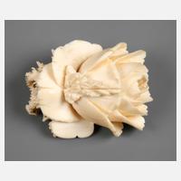 Beinbrosche als Rose111