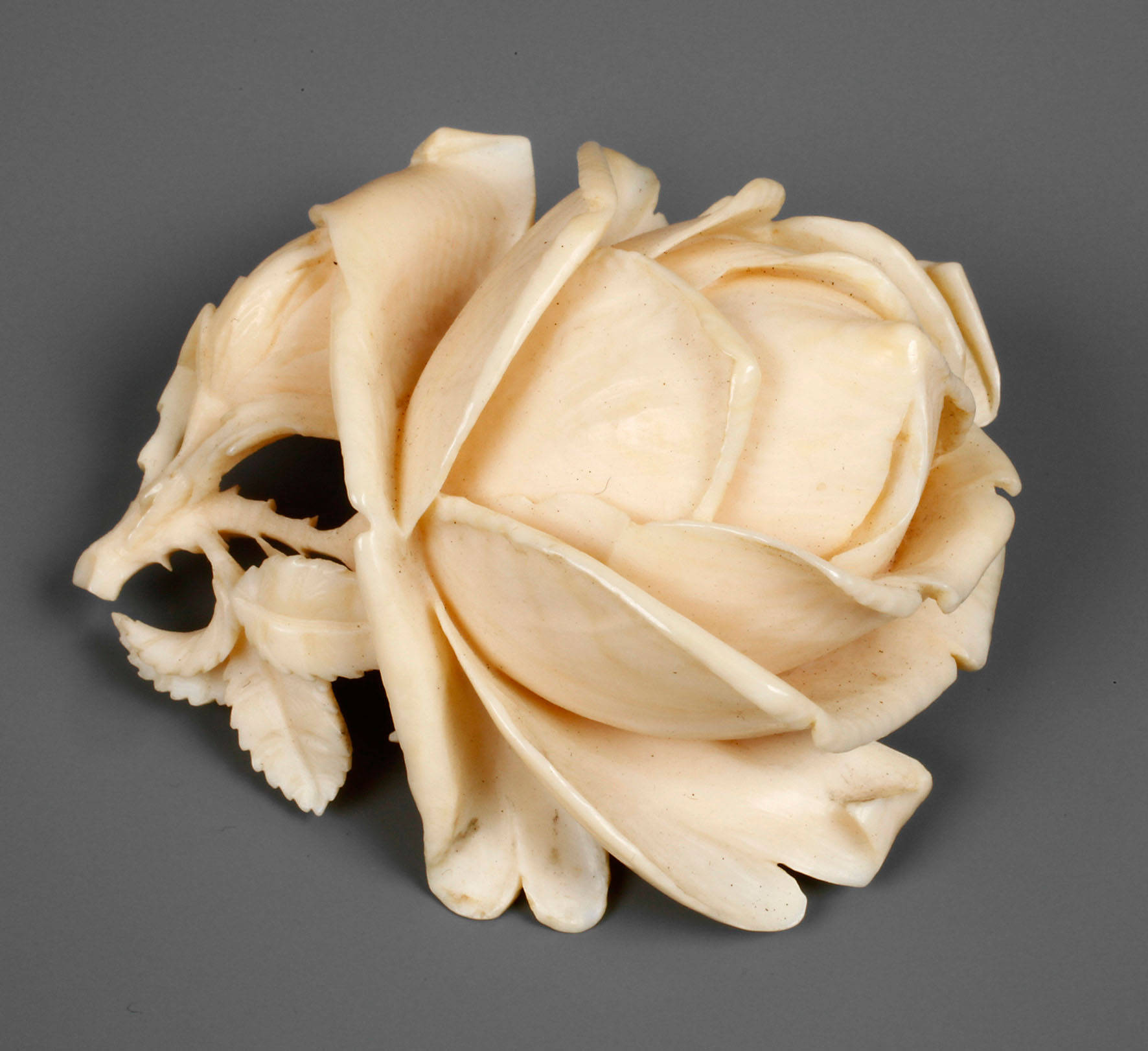 Fein geschnitzte Erbacher Rose