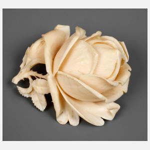 Fein geschnitzte Erbacher Rose