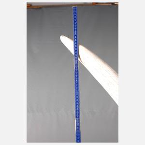 Großer Elefantenstoßzahn