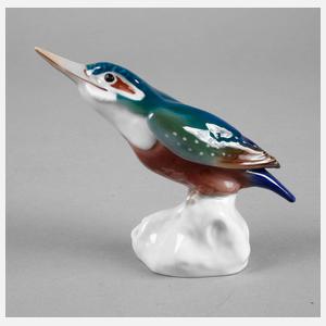 Meissen ”Eisvogel, Kopf gestreckt”