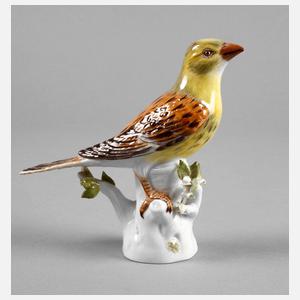 Meissen ”Goldammer”