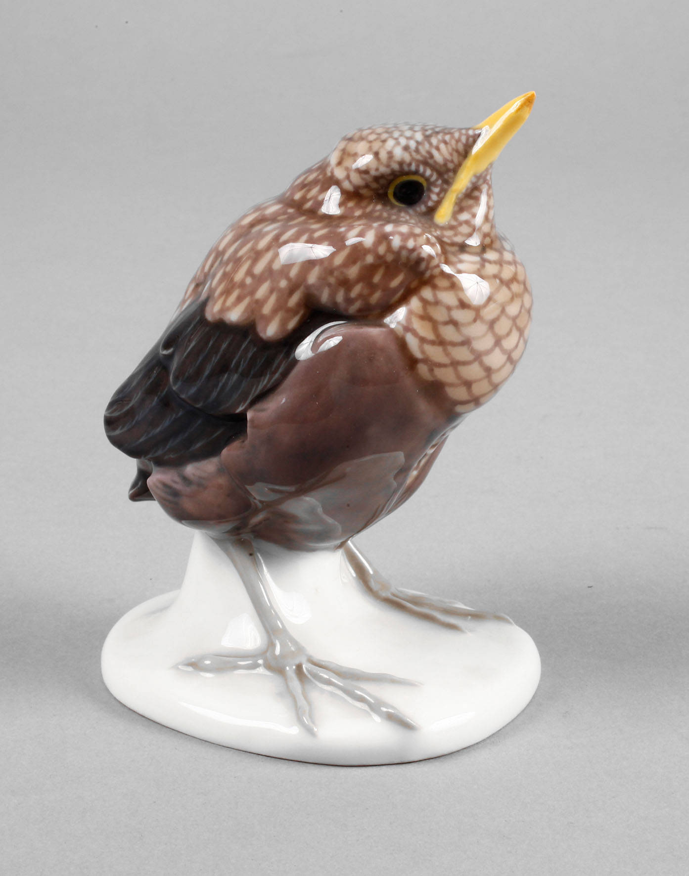 Meissen ”Junge Amsel”