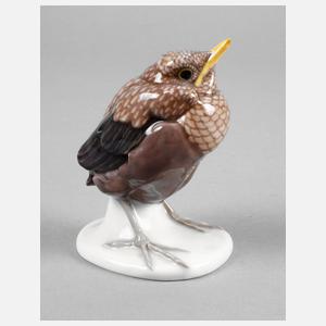 Meissen ”Junge Amsel”