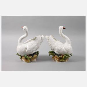 Meissen Paar Höckerschwäne