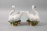 Meissen Paar Höckerschwäne