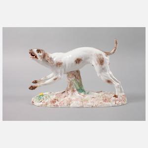 Seltener Jagdhund Höchst