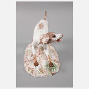 Seltener Jagdhund Höchst