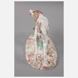 Seltener Jagdhund Höchst