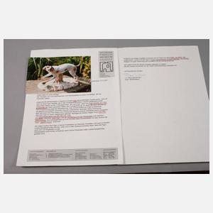 Seltener Jagdhund Höchst