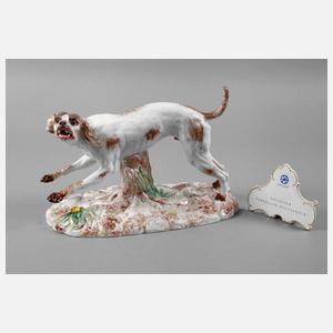 Seltener Jagdhund Höchst