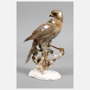 Hutschenreuther großer Sperber