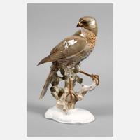 Hutschenreuther großer Sperber111