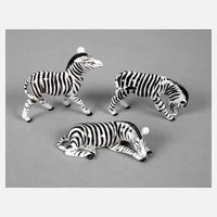 Metzler & Ortloff drei Miniatur-Zebras111