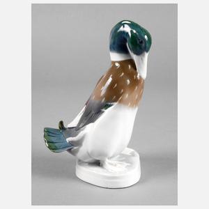 Metzler & Ortloff Erpel