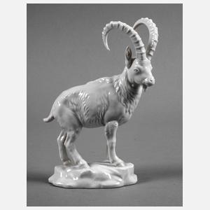 Nymphenburg Steinbock