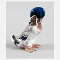 Rosenthal ”Enterich”111