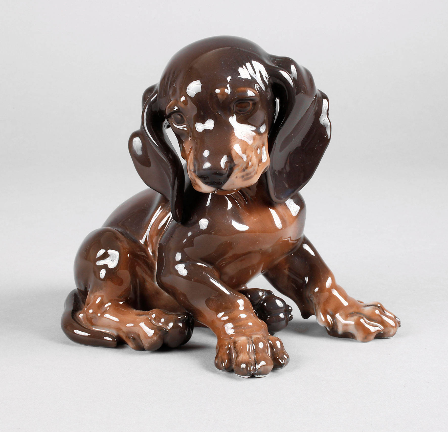 Rosenthal Dackelwelpe