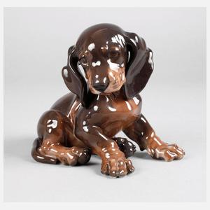 Rosenthal Dackelwelpe