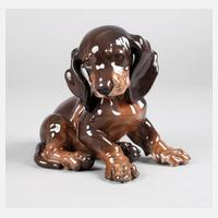 Rosenthal Dackelwelpe111